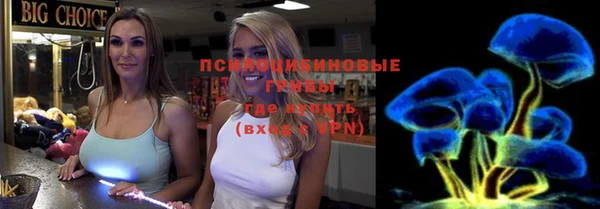 ГАЛЛЮЦИНОГЕННЫЕ ГРИБЫ Абинск