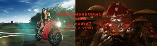 ГАЛЛЮЦИНОГЕННЫЕ ГРИБЫ Абинск