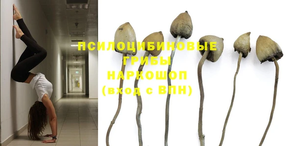 ГАЛЛЮЦИНОГЕННЫЕ ГРИБЫ Абинск