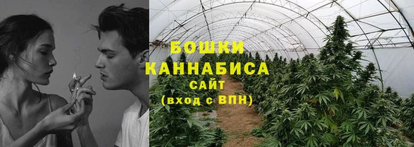 ГАЛЛЮЦИНОГЕННЫЕ ГРИБЫ Абинск